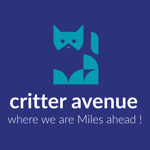 Critter Avenue